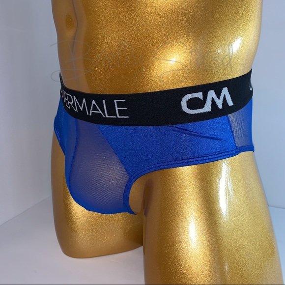 Cover Male Sheer Briefs - Blue (S) - Picture 5 of 6